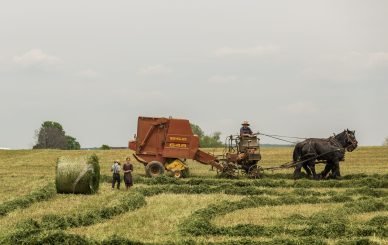 woman standing near brown combine harvester